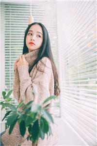 萧炎林姝小说全文