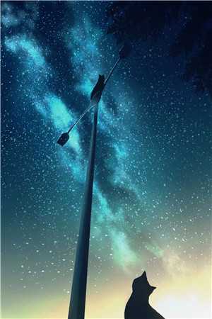 爆撩！反派大佬别太爱在线阅读