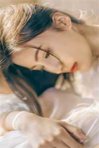 朱元璋朱炫小说