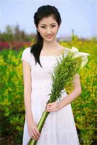 顾总今天又被离婚了