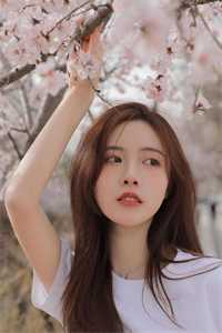 穿到寒门后，我打江山送女帝