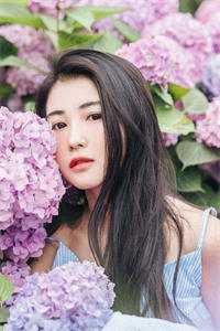 摆烂后，豪门总裁倒追我