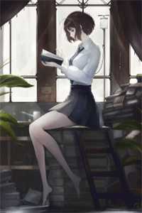 风水龙婿