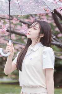 魏奴杀