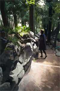 重生七零：我家娇妻医术高明