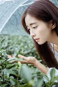 开局零元购，收萌兽，温馨度末世