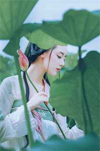 婚姻之殇：妻子的秘密