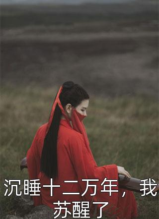 占山为王