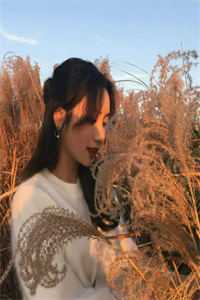 女总裁的贴身高手