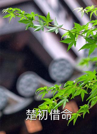至尊红颜