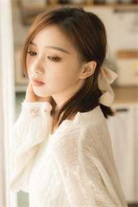 官婿美人香