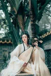 农婿无双