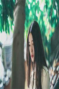 风月生执