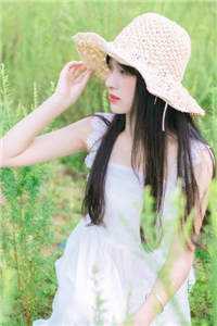 落日情谊