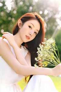 官婿美人香