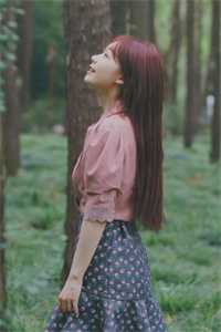 官婿美人香