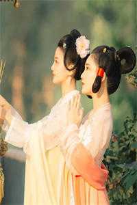 曲终不复朝朝暮暮