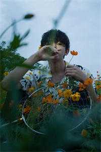 曲终不复朝朝暮暮
