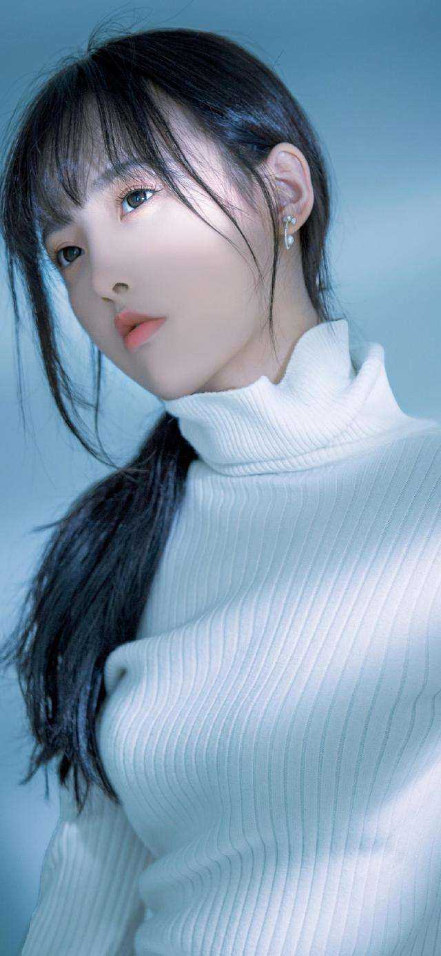 皇上，臣已经很委婉了