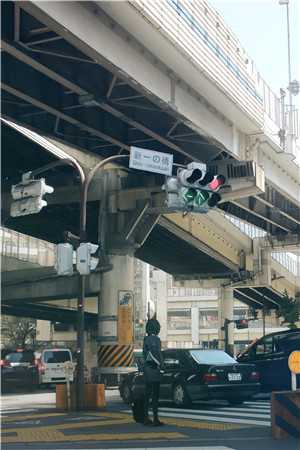 似野火