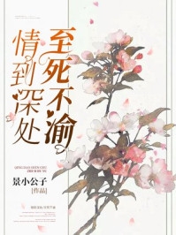 总裁女友是不婚主义