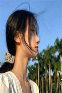 我在贵妃宫里当兽医
