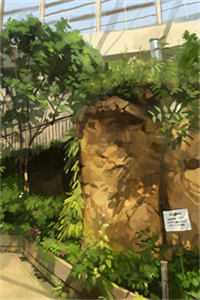 忘川河畔忘相思