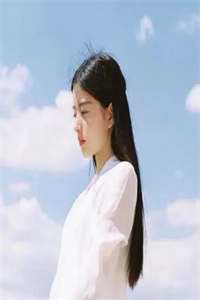 十年陈事只如风