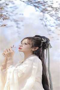 税海扬帆