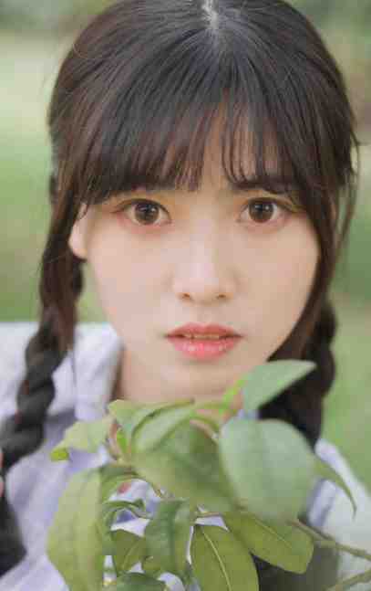 盛夏不再宁静