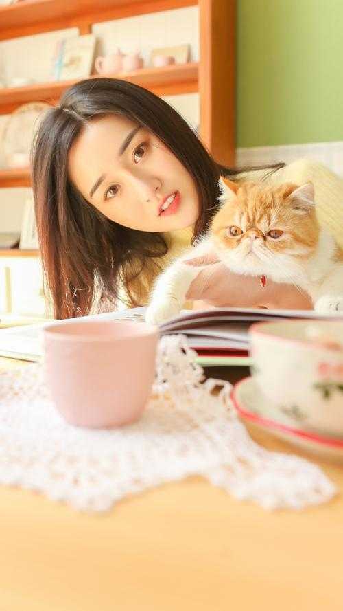 豆腐美人