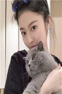 外甥炸毁豪车后，我成功嫁入豪门