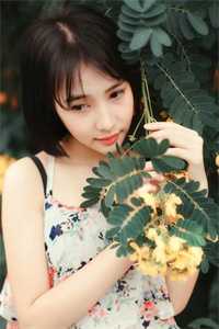 花期不再，花照样开
