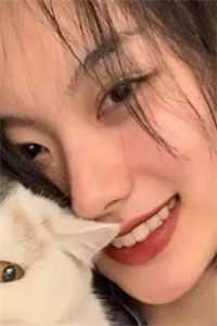 野蔷薇