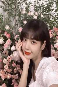 失忆总裁的掌心星