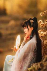 残阳落幕，爱恨沉海