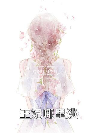 长叹雁归难留