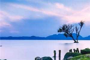 海棠花未眠
