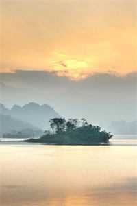 直播沉浸推理杀人案