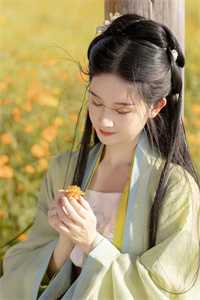 重生之凤临后宫