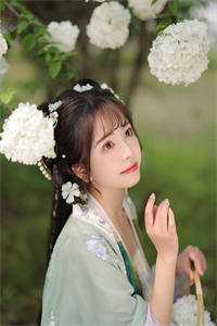 海棠花未眠
