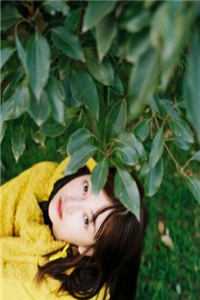 傅总，夫人不想当首富太太了