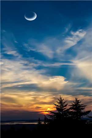 替妹妹嫁给九千岁后