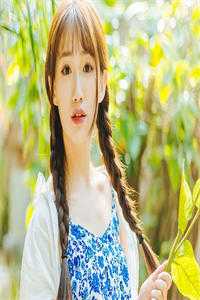 520信封