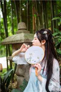 权道之夫人们太给力了