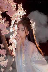 青梅甜酿