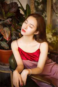 和师姐解除婚姻后，我飞升了