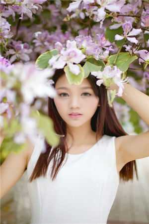 凤隐龙藏