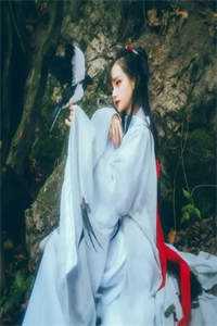 穿越之全能医妃