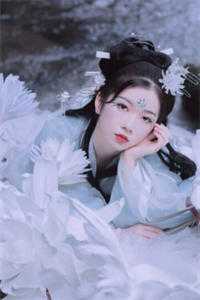 雪落昭昭意已绝